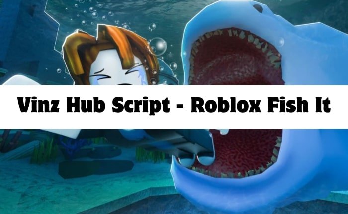 Use the Vinz Hub Script